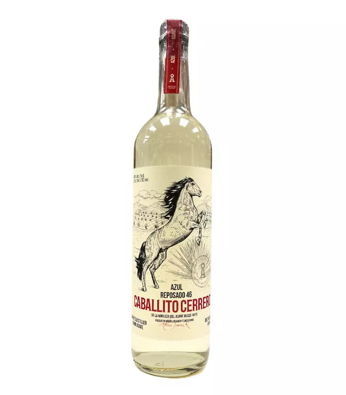 CaballitoCerreroAzulReposado46